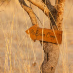 African_Parks_Zambia_Kafue_Kaingu_Game_Drive_LR_2025_Sarah_Wang-10
