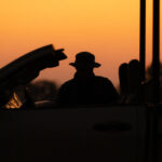 African_Parks_Zambia_Kafue_McBrides_Game_Drive_HR_2025_Sarah_Wang