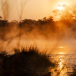 African_Parks_Zambia_Kafue_McBrides_Hot_Spring_HR_2025_Sarah_Wang-7