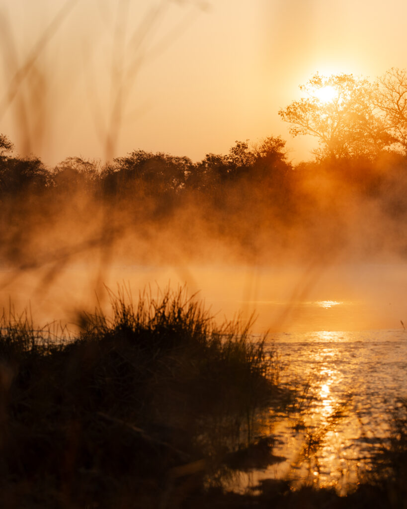 African_Parks_Zambia_Kafue_McBrides_Hot_Spring_HR_2025_Sarah_Wang-7