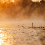 African_Parks_Zambia_Kafue_McBrides_Hot_Spring_HR_2025_Sarah_Wang-8