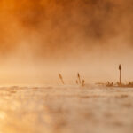 African_Parks_Zambia_Kafue_McBrides_Hot_Spring_HR_2025_Sarah_Wang-9