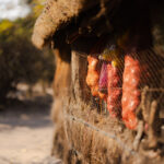 African_Parks_Zambia_Kafue_McBrides_Main_Area_HR_2025_Sarah_Wang-38