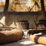 African_Parks_Zambia_Kafue_McBrides_Main_Area_HR_2025_Sarah_Wang-39